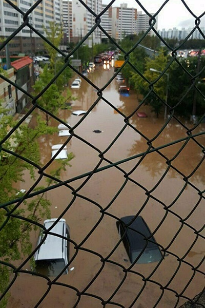 7일 광주 지역에 내린 폭우로 인해 곳곳이 침수된 모습. 광주 북구 문흥동 도로에 세워진 차들이 침수돼 있다. 