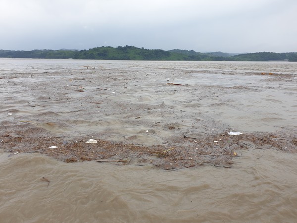남강댐 홍수방류로 사천시 해안가로 쓰레기가 떠밀려 오고 있다.
