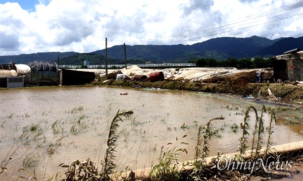 섬진강 범람으로 물에 잠겼다가 빠진 뒤 8월 9일의 구례지역 상황.