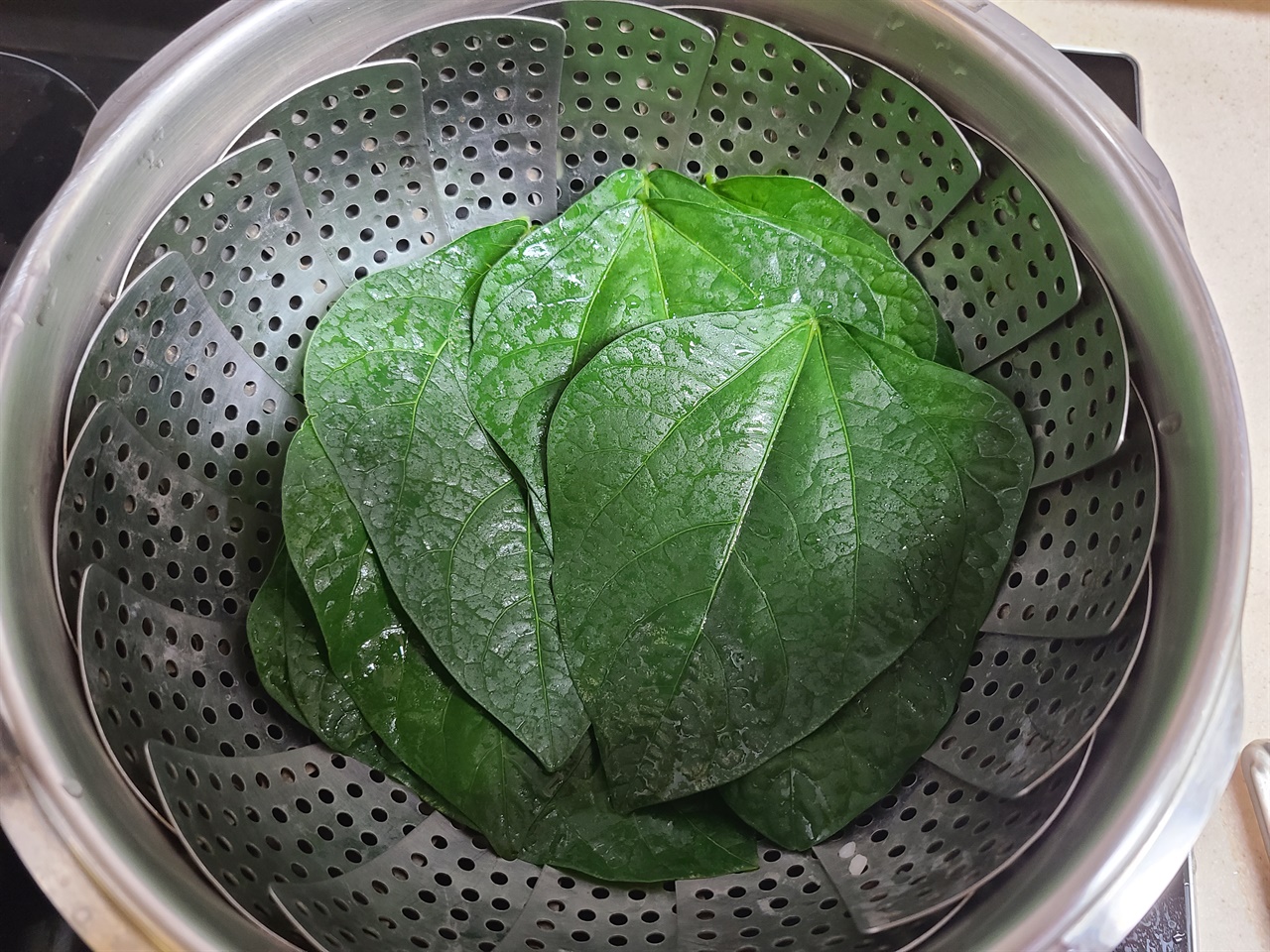 동부콩잎을 쪄서 쌈으로 먹으면 부드러운 맛이 괜찮습니다.