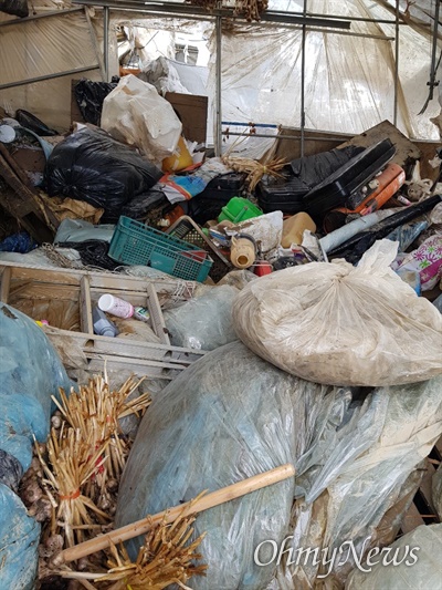 온갖 쓰레기더미로 엉망이 된 비닐하우스(사진제공: 독자 이동현님).