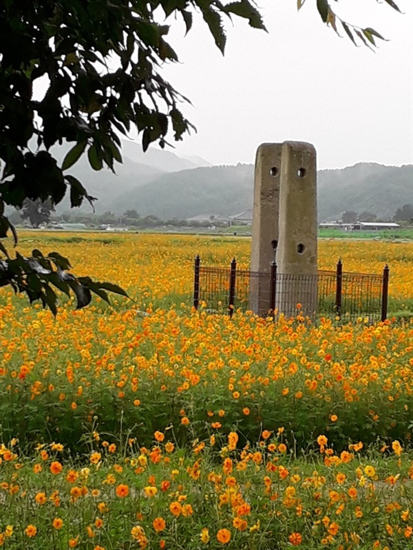 분황사 당간지주