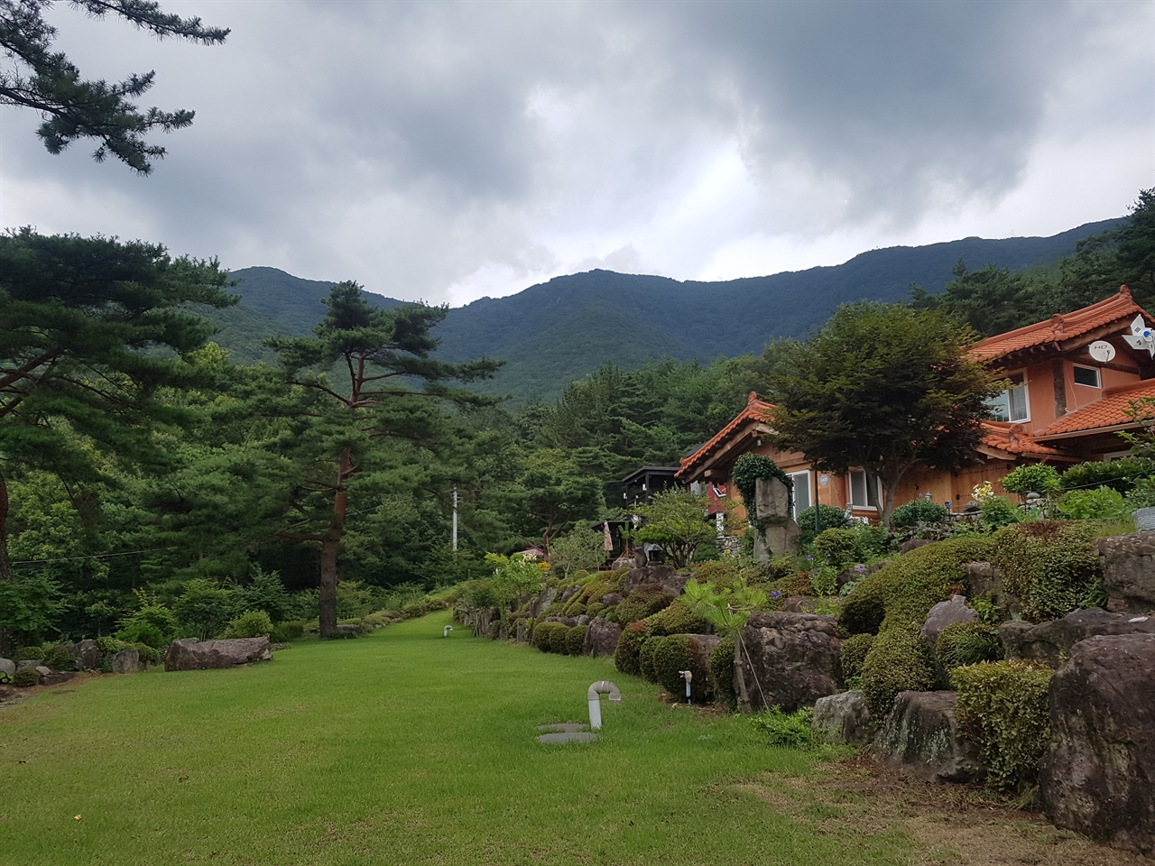 잔디가 깔려 있는 마당엔 온갖 곤충들이 산다. 그 곤충들을 잡느라 뛰어다니다보면 어느해 하루가 꼴딱 간다.