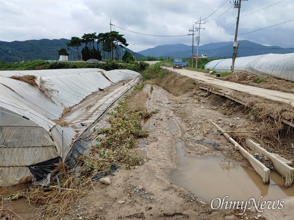 지난 7, 8일 집중호우로 지반이 무너져 내리고 비닐하우스가 짓눌려진 모습. (사진제공: 독자 이동현님)
