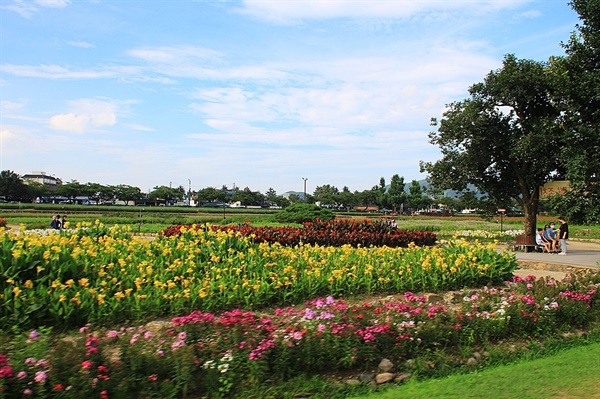 경주 동부사적지대 꽃밭단지 모습