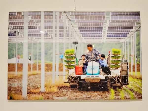대덕구 법동 대덕에너지카페 내, 에너지전환갤러리 ‘내일'에 전시된 재생에너지 사진의 모습니다.