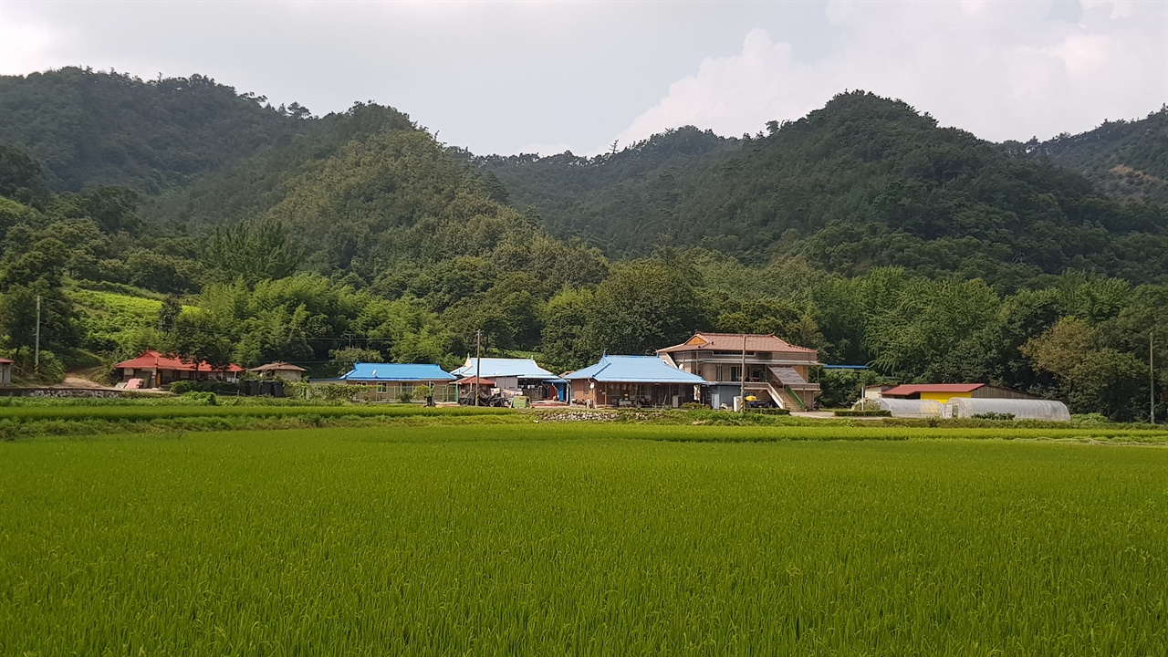 청양군 온직2리 마을 바로 뒤쪽 15미터 지역으로 서부내륙고속도로 노선이 그려져 있다. 