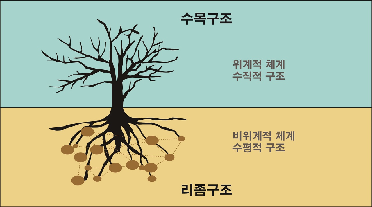 수목구조와 리좀구조 리좀(Rhizome)은 가지가 흙에서 뿌리로 변화하는 지피(地被)식물을 말한다. 리좀구조는 수목구조 체계에서 벗어나 비위계적으로 소통한다. [그래픽=윤재은]