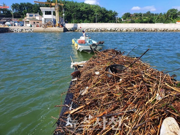 어민들이 어선을 활용해 해양쓰레기를 수거하고 있다. 