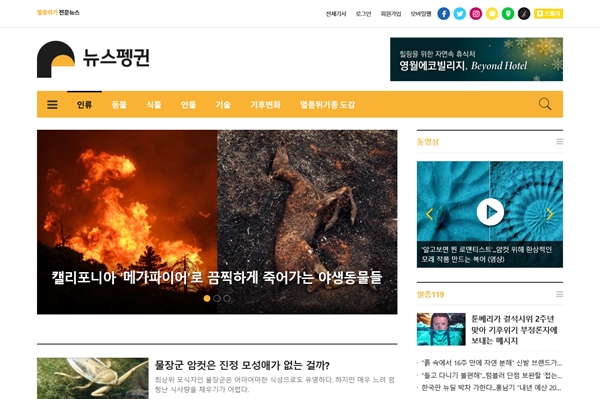  '뉴스펭귄' 웹사이트