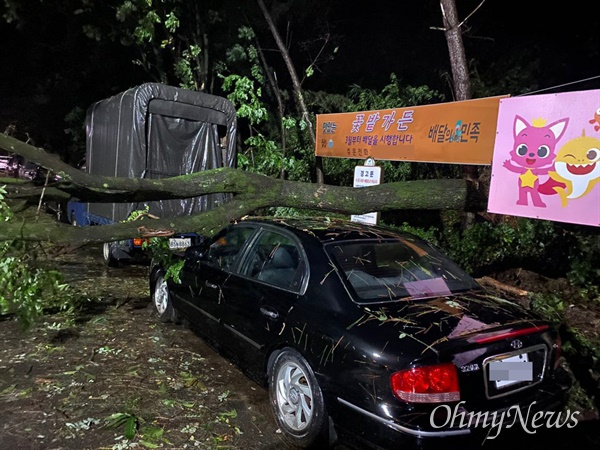 제9호 태풍 '마이삭'의 영향으로 3일 오전 2시 43분께 대구시 북구 서변동의 도로에서 나무가 쓰러져 자동차 일부가 파손되는 피해를 입었다.