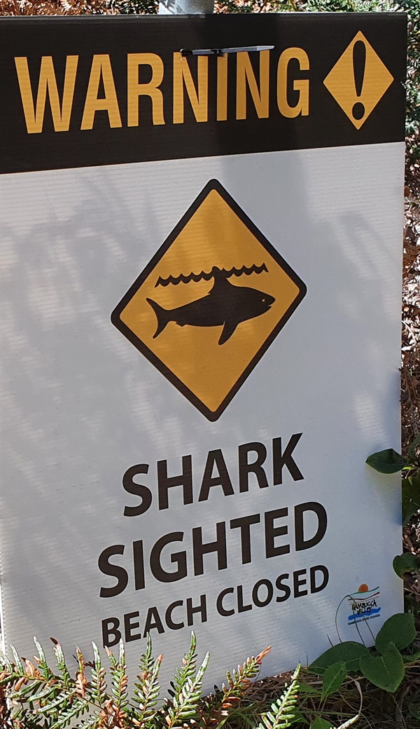 상어가 출연해 해변을 통제한다는 경고문