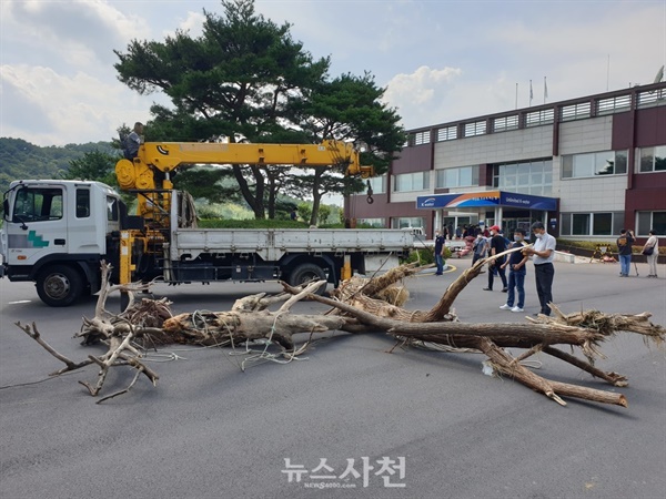 어민들이 죽방렴에 걸렸던 폐목들을 남강댐지사에 풀어놓고 있다.