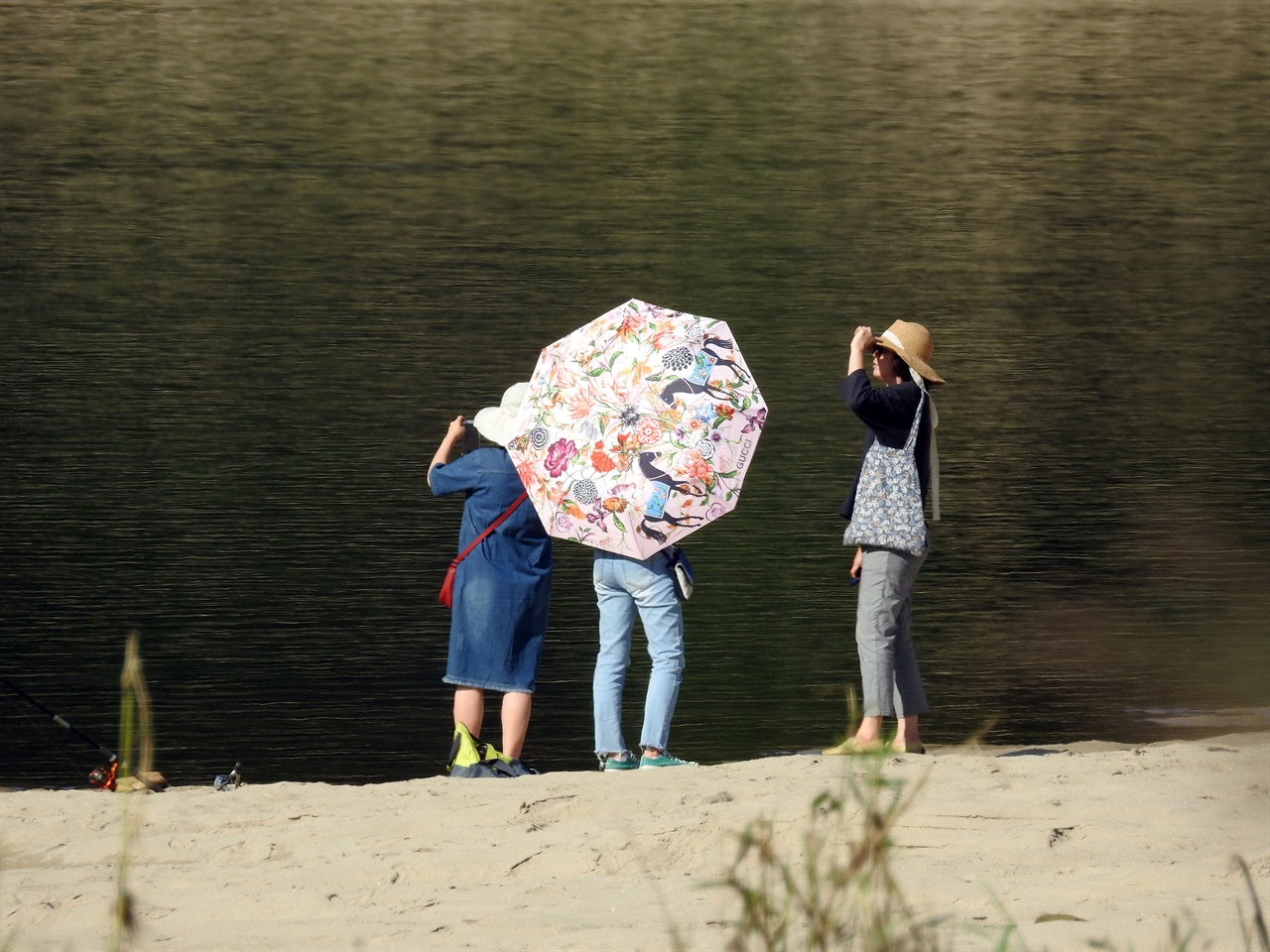  중년으로 보이는 여성들도 강변을 찾아 핸드폰으로 사진을 찍으면서 아름다운 자연을 감상했습니다.