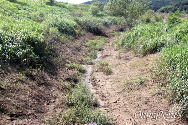 낙동강 합천창녕보 좌안에 있는 '어도'에 물은 흐르지 않고 모래와 갈대가 쌓여 있다.