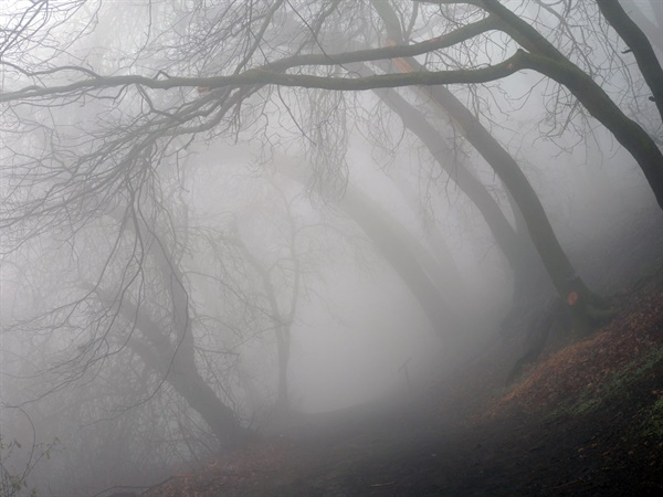 10미터 앞도 보이지 않는 짙은 안개가 끼었다. 길이 보이지 않으니 두려움이 밀려든다 