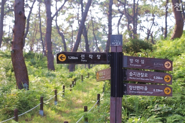 관매도 '마실길' 표지판. 표지판 뒤로 송림이 우거진 피톤치드길이 보인다.