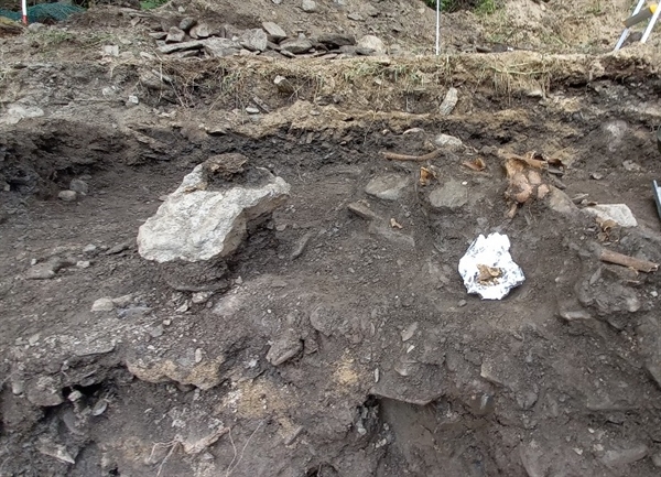 유해가 돌덩이 위에 얹혀 있는 채로 발굴됐다.