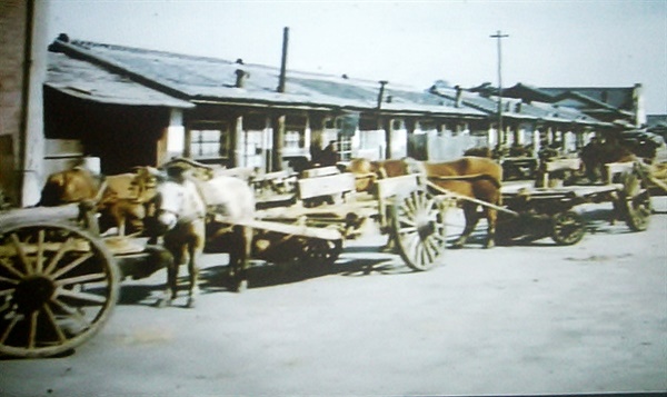 장미동 피난민촌 모습(1950년대)