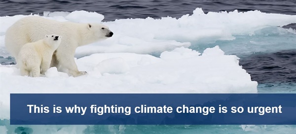 녹는 빙하에 서있는 북극곰. 기후변화 해결이 왜 시급한지 보여준다