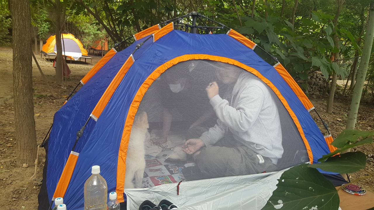 자연속에 마련된 텐트 속에서 애완견과 함께 즐거운 시간을 보내고 있는 신지연. 신영웅씨의 모습이다.