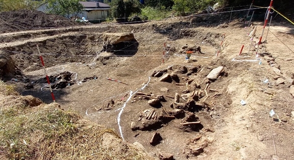공동조사단은 대전 골령골 제 1집단희생추정지에서 유해 22구를 발굴, 수습했다고 28일 밝혔다. 발굴된 유해는 가로 10m, 세로 10m의 비교적 좁은 면적에 분포해 있었다.