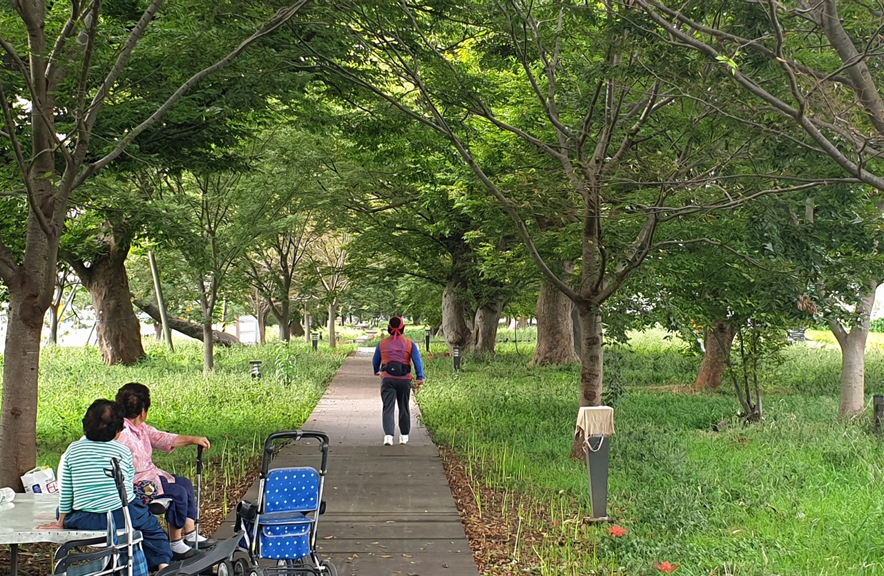 향교마을 숲은 마을어르신들의 쉼터다. 지난 9월 22일 점심 식사를 한 어르신들이 숲에 나와 쉬고 있다.