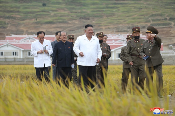  북한 김정은 국무위원장이 김화군 수해 복구 현장을 현지지도했다고 2일 조선중앙통신이 보도했다.