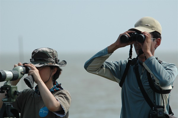 습지와새들의친구는 창립 20주년을 맞아 오는 8일 낙동강 하구에서 '탐조기행' 행사를 연다.