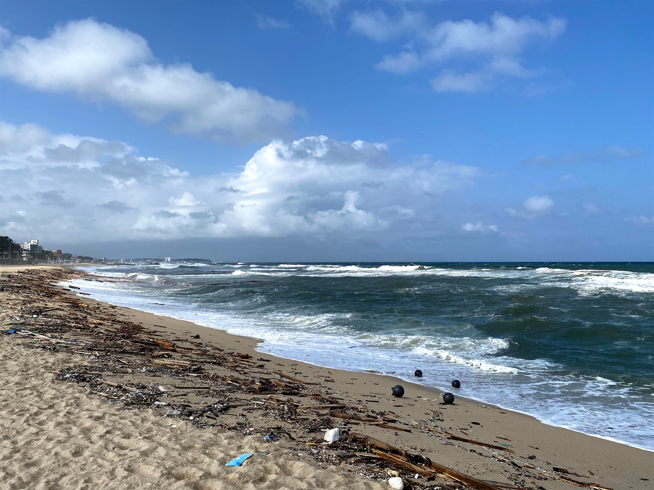 맑은 하늘과 대조적인 강릉 해변에 쌓인 쓰레기