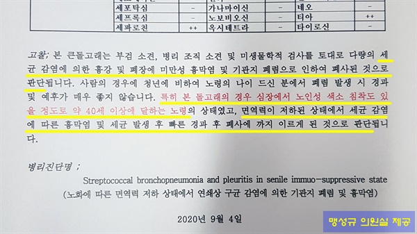 맹성규 의원실에서 환경부로부터 제공받은 폐사한 큰돌고래 안덕이의 병리소견서