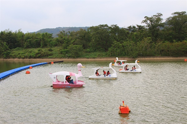 경주 보문관광단지 보문호 오리 페달 보트 모습