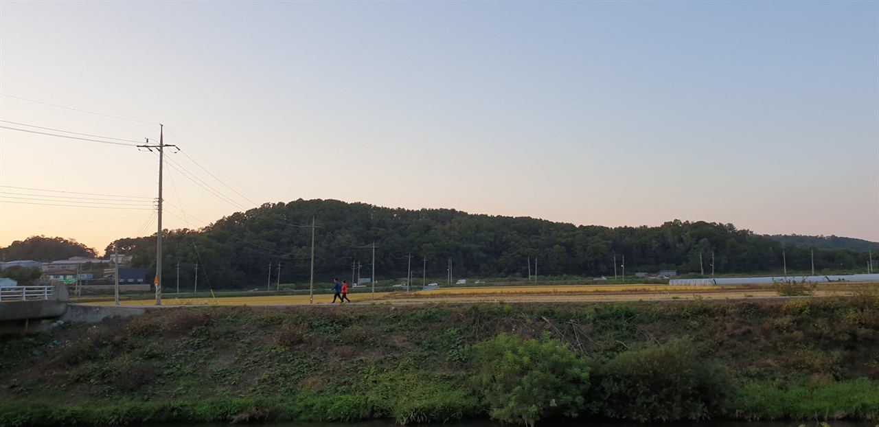 동물도 사람도 그 자연의 속도대로만 산다면....