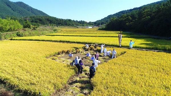  고성농요.