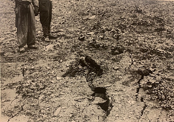  시체가 부패하면서 구덩이가 움푹 꺼져 땅이 갈라져 있는 모습으로 보인다.1950년 7월 또는 8월, 대전을 점령한 북한군과 함께 골령골 현장을 방문한 영국 <데일리 워커>의 앨런 위닝턴 기자가 찍었다.