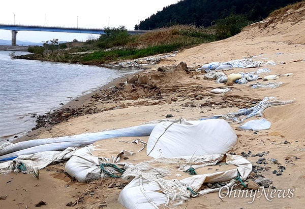  낙동강 창녕함안보 하류 좌안 쪽에 4대강사업 때 묻힌 것으로 보이는 비닐과 천막이 물이 빠지면서 삭아서 드러났다.