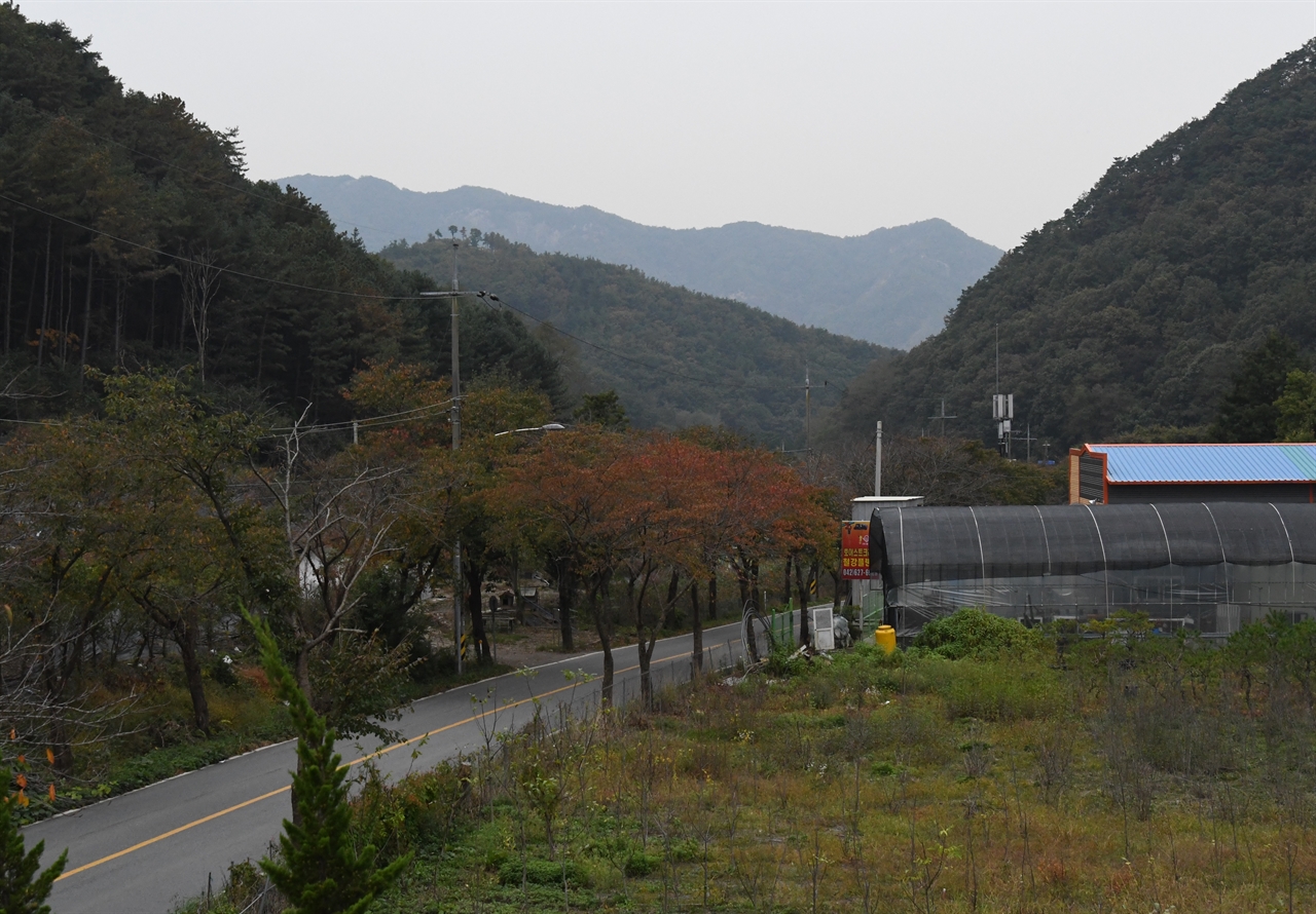  위닝턴 기자가 찍은 당시 사진과 현재 모습을 비교한 결과 정면으로 보이는 산은 산내초등학교 방향의 대전 보문산 옆 강바위산-마경산 자락과 동일했다. 희생자가 묻힌 구덩이에서 지금의 곤룡터널을 등지고 산내초등학교 방향으로 앵글을 맞춘 것이다. 위닝턴 기자의 사진 속 도로 왼쪽 구덩이는 골령골에서 가장 긴 200m짜리 유해매장 구덩이가 있는 제2 학살지(위 아래 붉은 네모안)로 확인됐다. 하지만 안타깝게도 사진 속 유해매장추정지 대부분이 2차선 포장도로에 포함됐다.