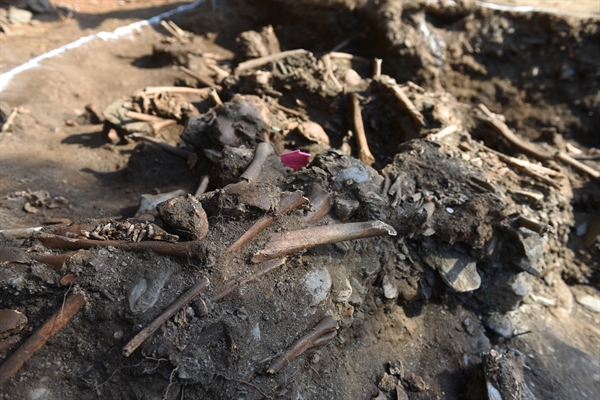 대전 골령골 제 1 집단희생지에서 발굴된 희생자 유해.  유해가 뒤엉켜 있다.