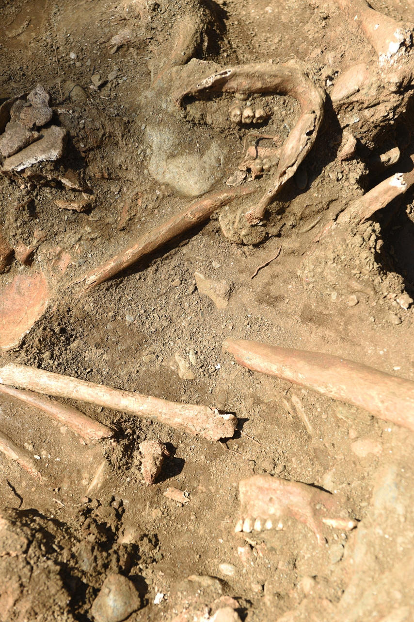 대전 골령골 제 1집단희생지에서 발굴된 희생자 유해. 8.6㎡ 좁은 면적에 30여 구가 뒤엉켜 있다.