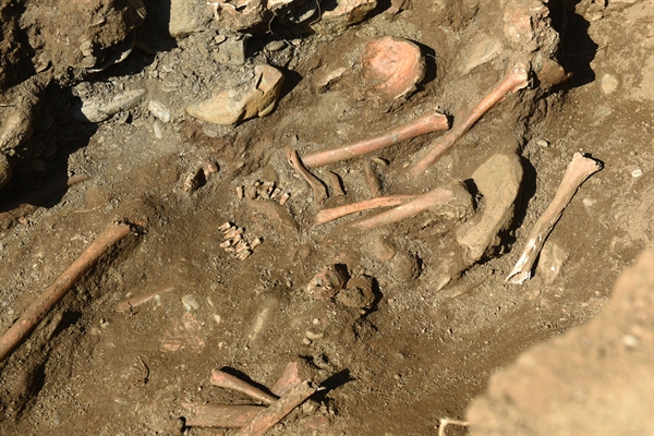 대전 골령골 제1집단희생지에서 발굴된 희생자 유해. 8.6㎡ 좁은 면적에 30여 구가 뒤엉켜 있다.