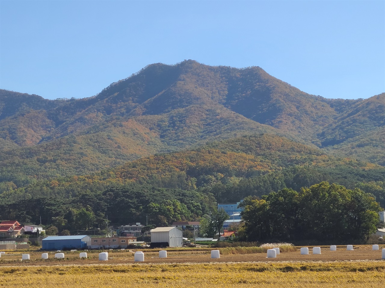 들판에서 바라 본 가을산. 단풍이 막 물들어 가고 있다.