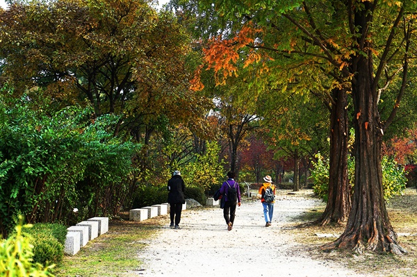 가을 정취를 느끼며 산책을 즐기는 시민들