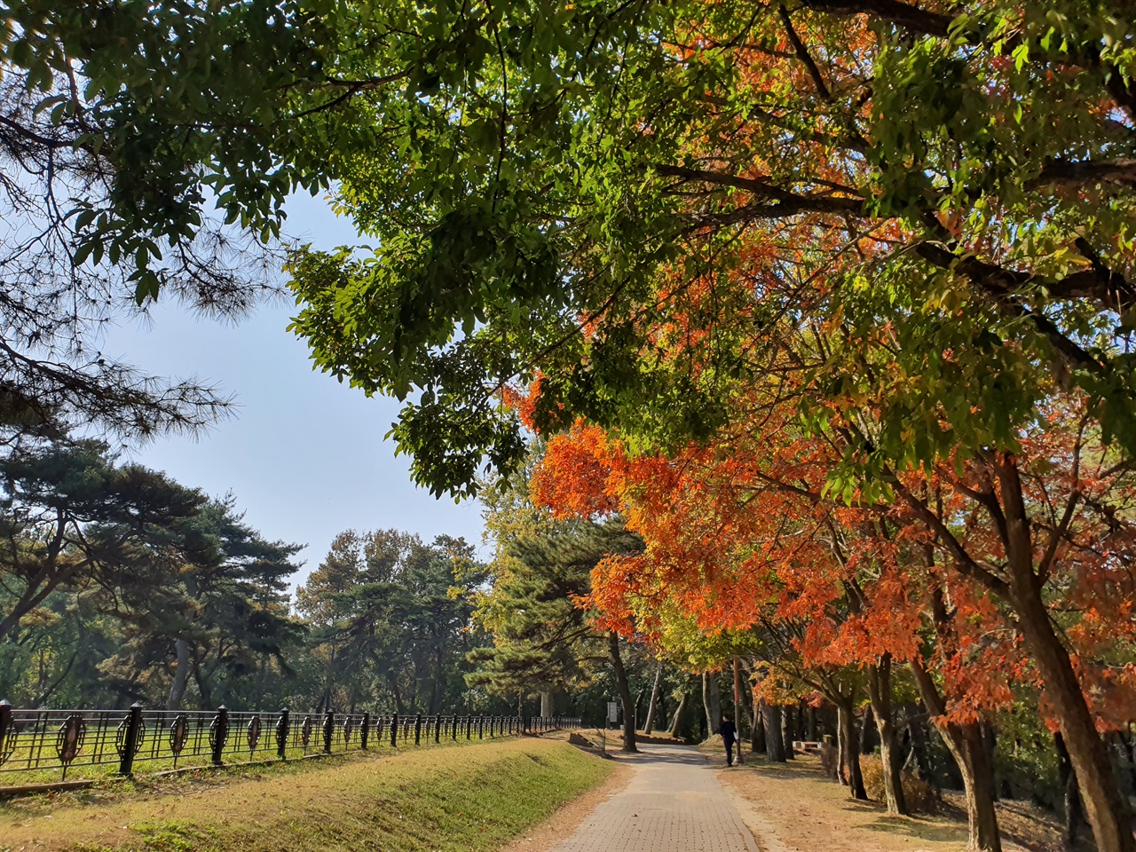 부소산 군창지 앞  부소산 군창지 앞 풍경. 