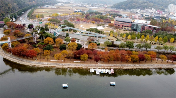  의령읍 구름다리 단풍.