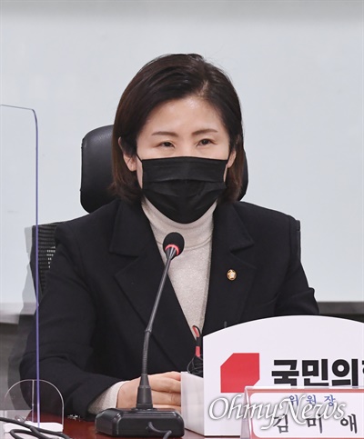 김미애 국민의힘 약자와의동행위원장.