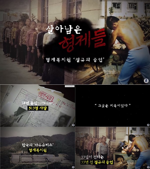 <부산일보> ‘살아남은 형제들’ 영상 캡처 화면