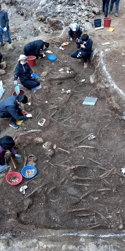 성미산 학교 학생 10여명이 대전 골령골에서 유해발굴공동조사단을 도와 유해발굴 봉사활동을 하고 있다.