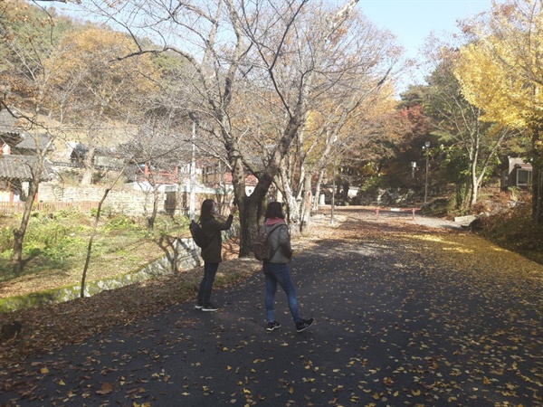 숭림사 들어가는 길목 숭람사 들어가는 길