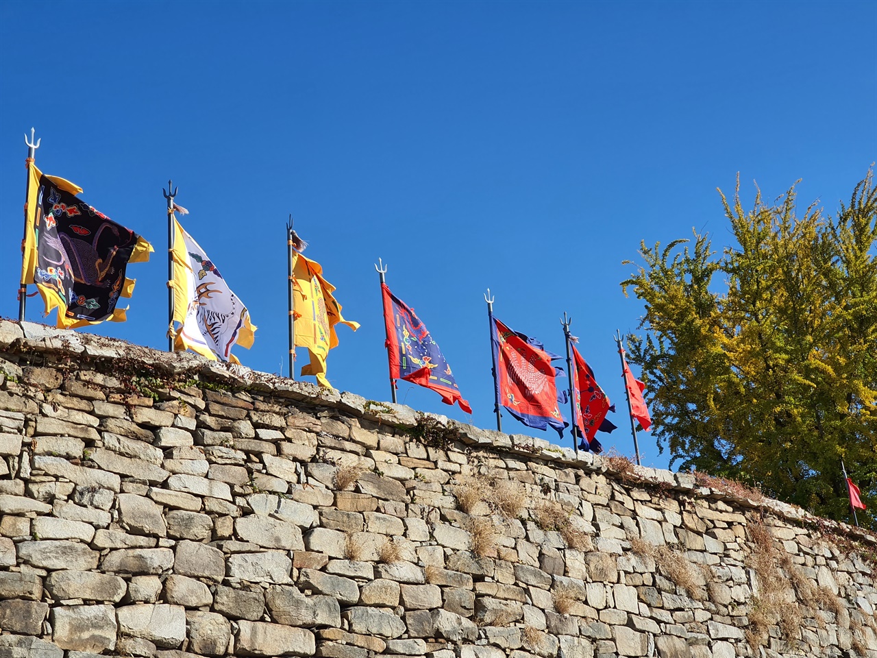 해미읍성 성벽 안으로 깃발과 함께 은행나무가 노란색으로 물들어 가고 있다.