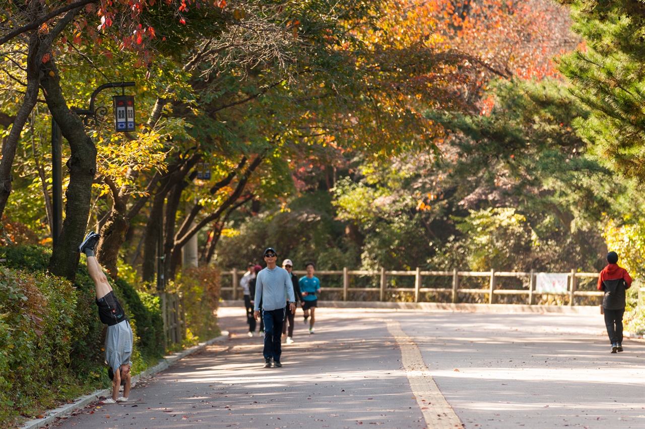 남산공원 북측순환로의 가을날 산책나온 시민들이 일상이 풍요롭다.